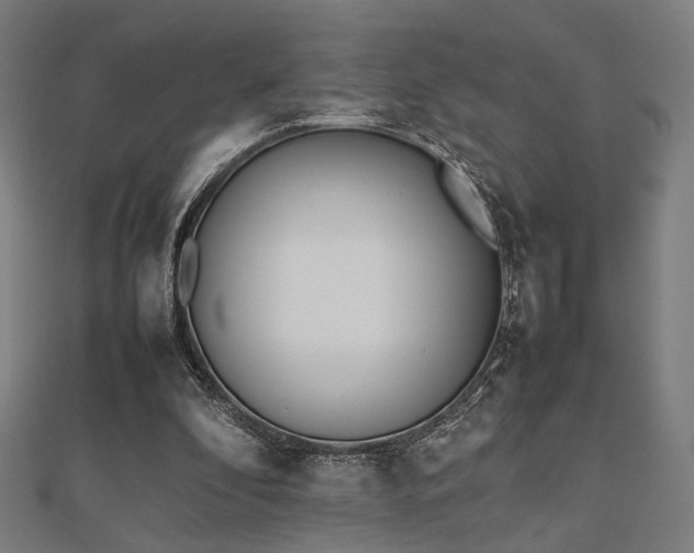 X0000112490296200908171253