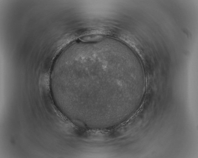 X0000112490297200908171253