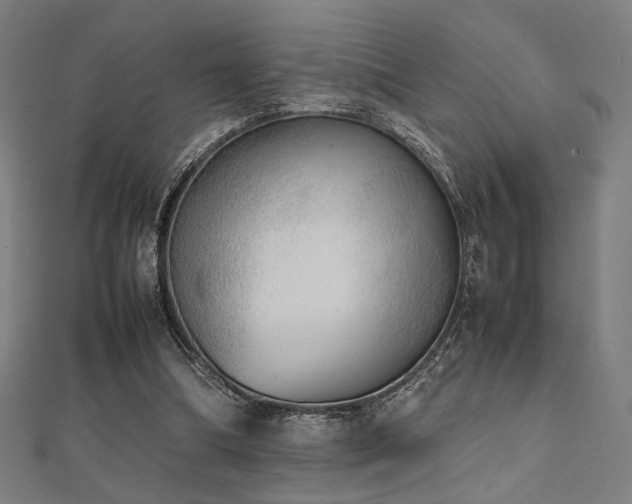 X0000112490298200908171253