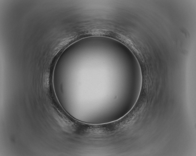 X0000112490299200908171253