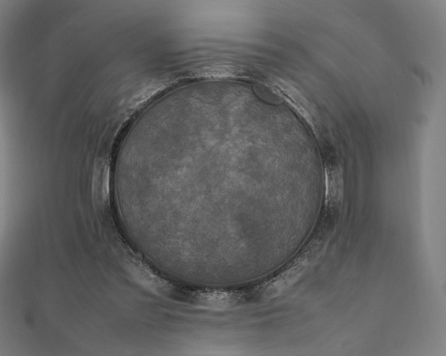 X0000112490301200908171253