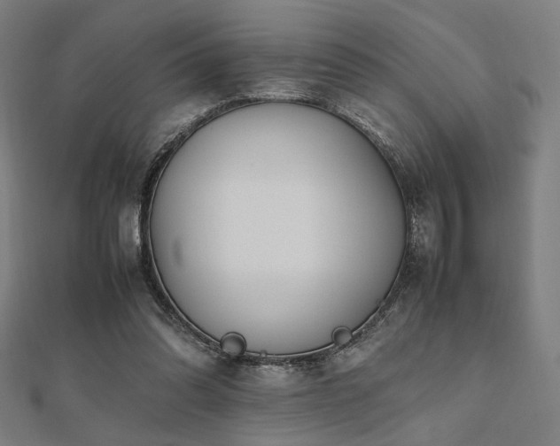X0000112490302200908171253