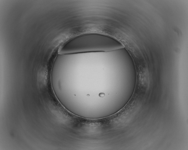 X0000112490304200908171253