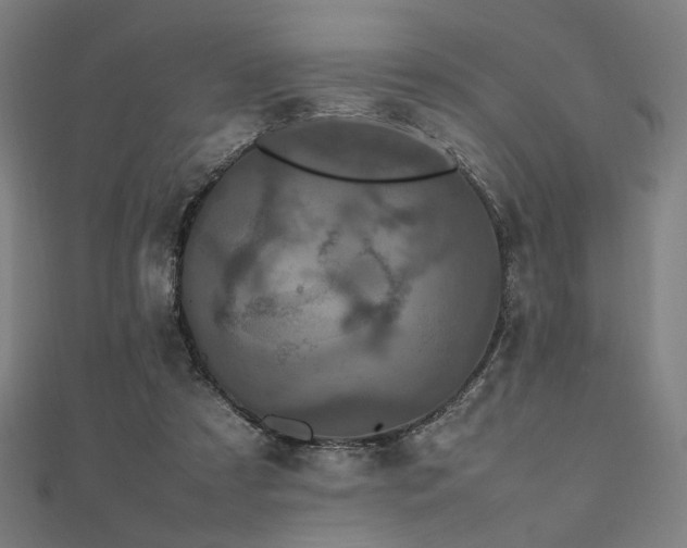 X0000112490305200908171253
