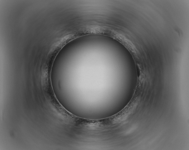 X0000112490306200908171253