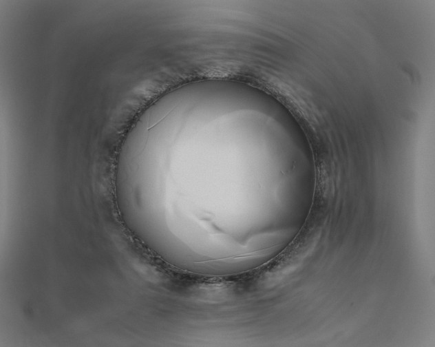 X0000112490307200908171253