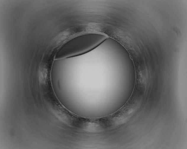 X0000112490308200908171253