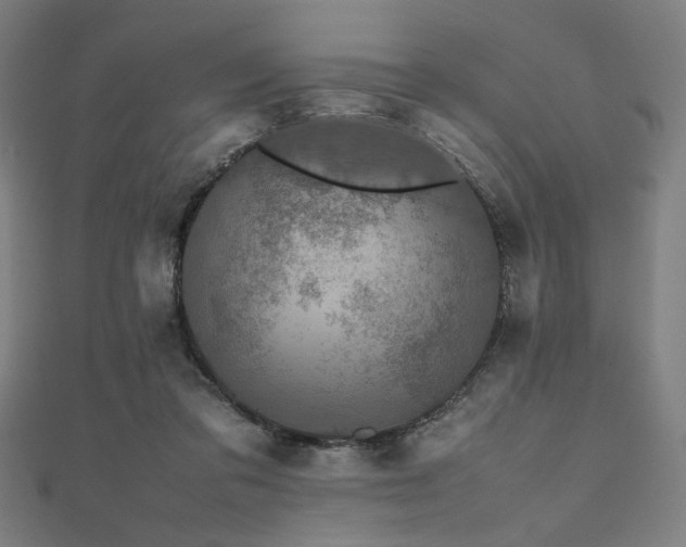 X0000112490309200908171253