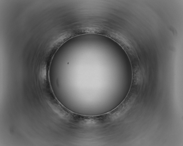 X0000112490310200908171253