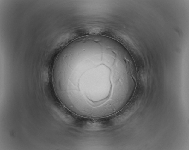 X0000112490311200908171253