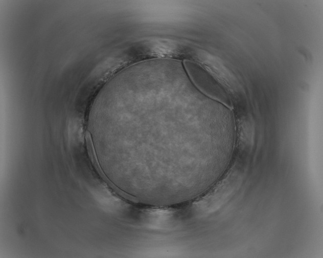 X0000112490313200908171253