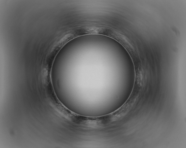 X0000112490314200908171253