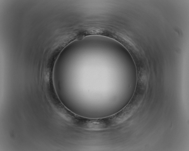 X0000112490315200908171253