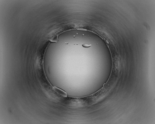 X0000112490316200908171253
