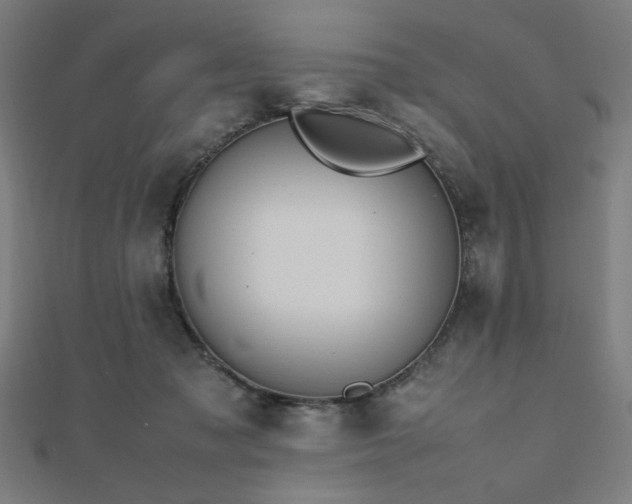 X0000112490317200908171253