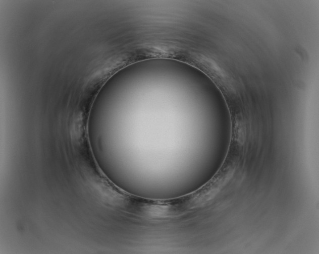 X0000112490318200908171253