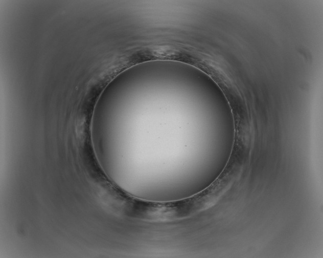 X0000112490319200908171253