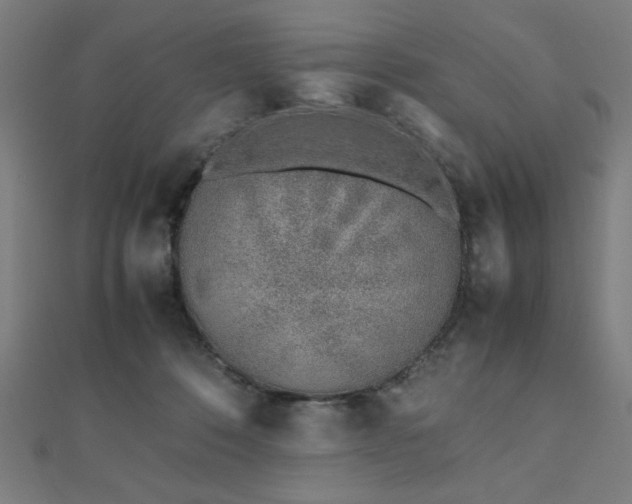 X0000112490320200908171253