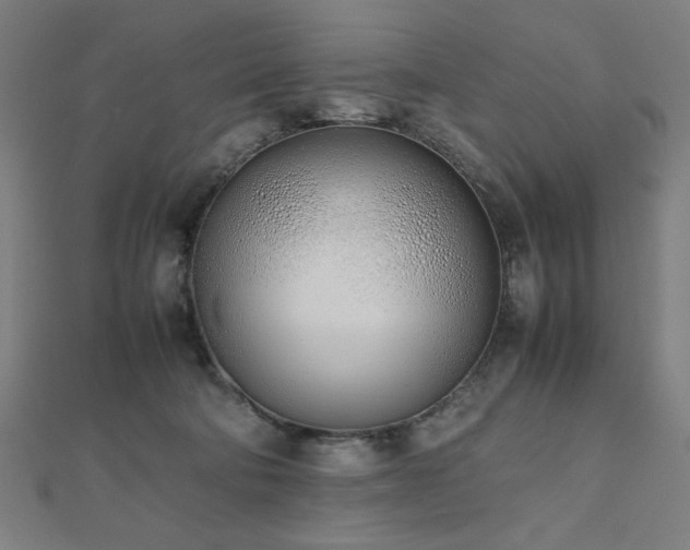 X0000112490322200908171253