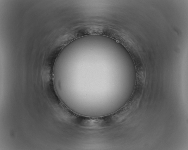 X0000112490323200908171253