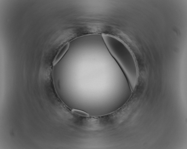 X0000112490325200908171253