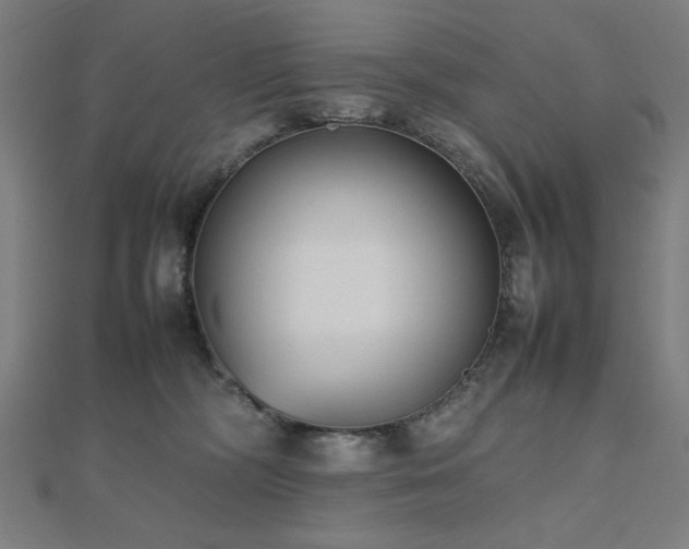 X0000112490326200908171253