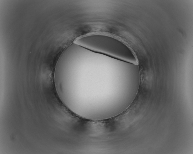X0000112490327200908171253