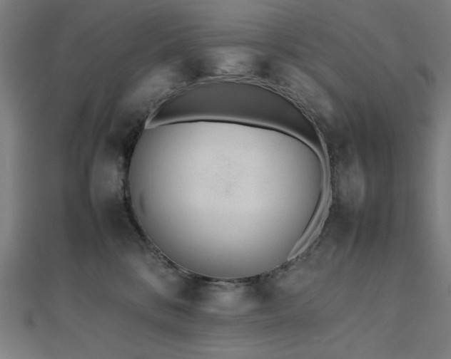 X0000112490328200908171253