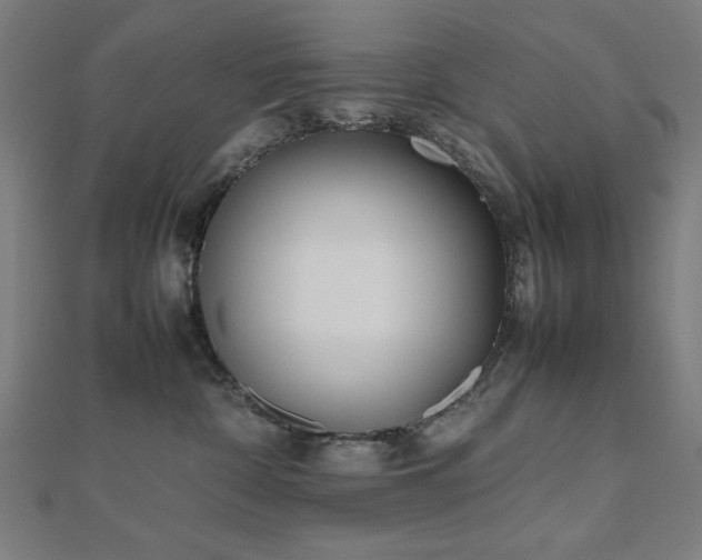 X0000112490332200908171252