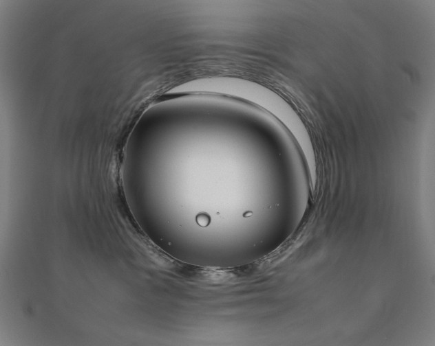 X0000112490333200908171252