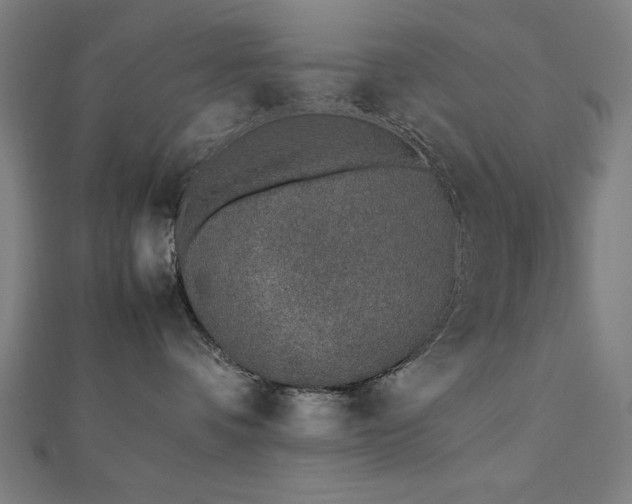 X0000112490336200908171252