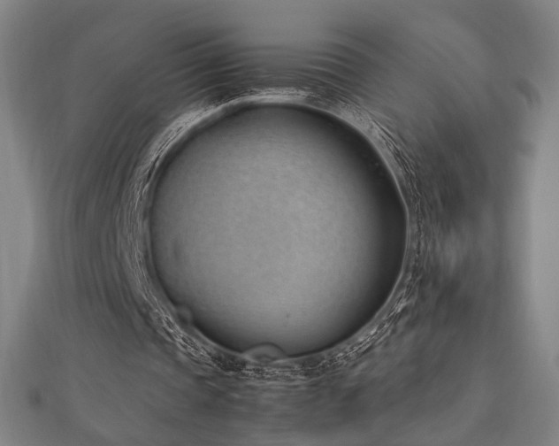 X0000112490337200908171252