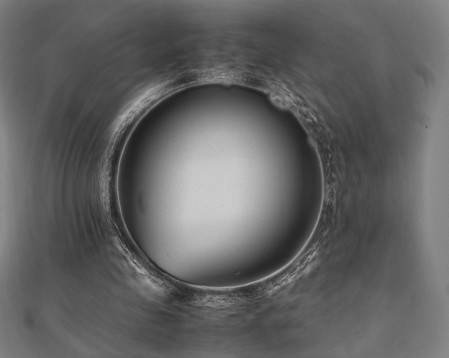 X0000112490341200908171252