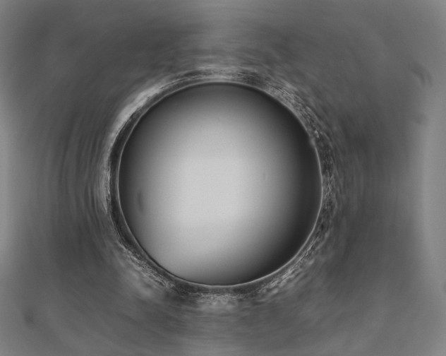 X0000112490342200908171252