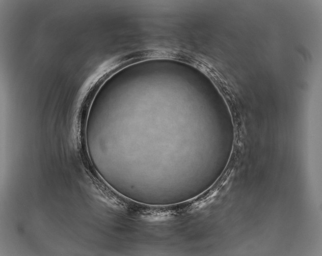 X0000112490343200908171252