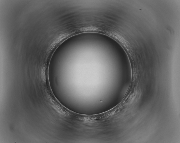 X0000112490345200908171252