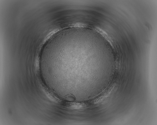 X0000112490347200908171252