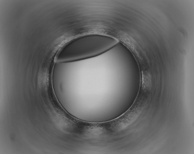 X0000112490348200908171252