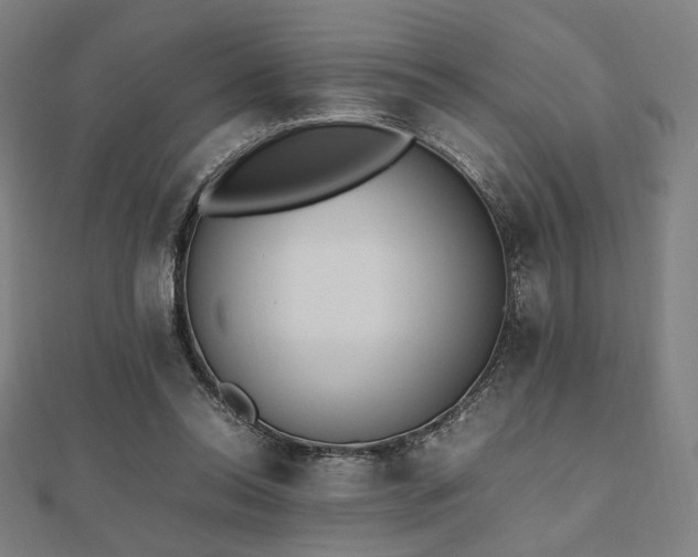 X0000112490350200908171252