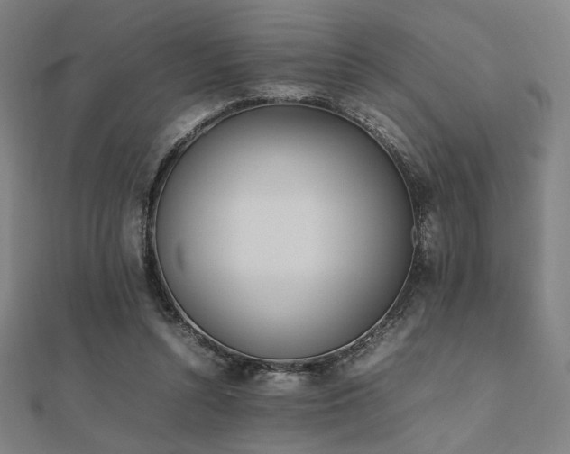 X0000112490352200908171252