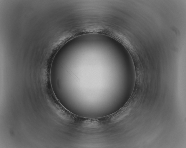 X0000112490354200908171252