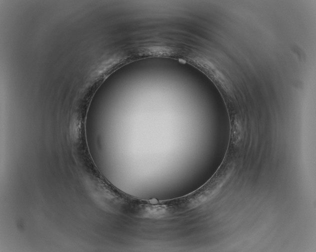 X0000112490355200908171252