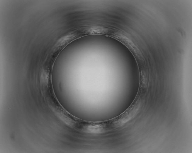 X0000112490357200908171252