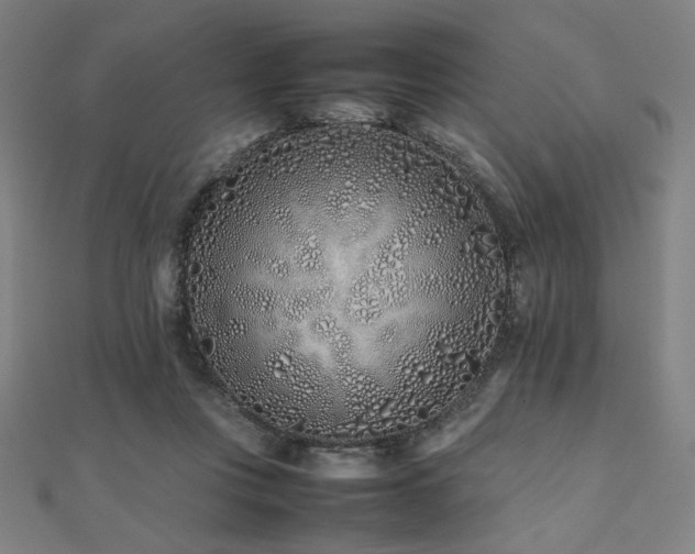 X0000112490359200908171252