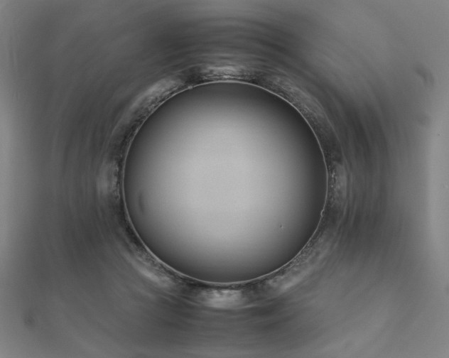 X0000112490361200908171252