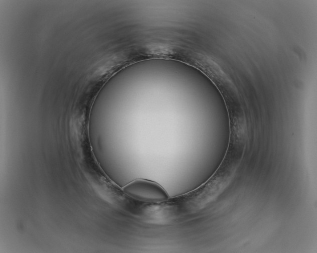 X0000112490364200908171252