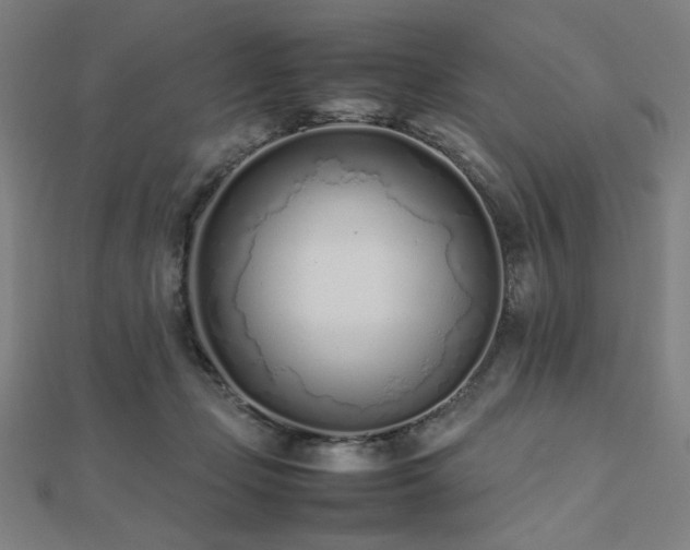 X0000112490365200908171252