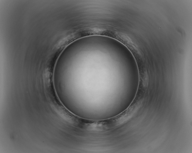 X0000112490366200908171252