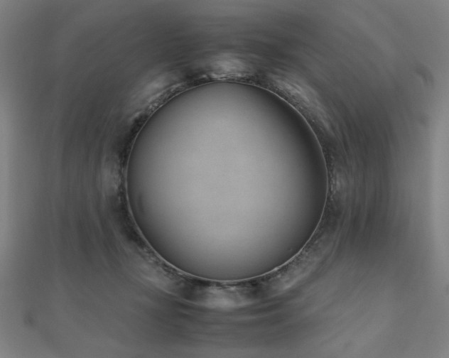 X0000112490367200908171252