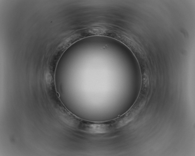 X0000112490371200908171252